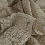 Выбор семян марихуаны для домашнего выращивания image_100.jpg