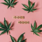 Семена конопли Auto New York City feminised от Pyramid Seeds image_102.jpg