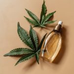 Купить семена конопли в Алматы: руководство для начинающих image_133.jpg