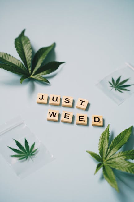 Покупка семян конопли в Самаре: советы и рекомендации