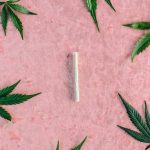 Купить семена конопли в Омске: где и как выбрать качественный товар image_220.jpg