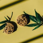 Семена конопли Black Jack F1 Fast Version feminised от Sweet Seeds image_281.jpg