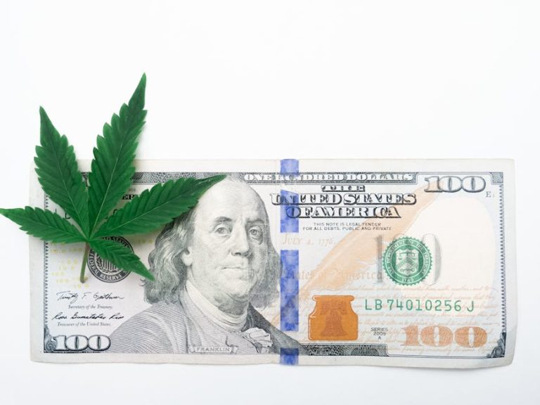 Сорт конопли Auto Belaya Gvardiya feminised от Dutch Passion Seeds