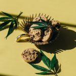 Мыло с семенами конопли для ухода за кожей image_33.jpg