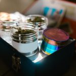 Элитные Семена Конопли Преимущества и Особенности Культивирования image_333.jpg