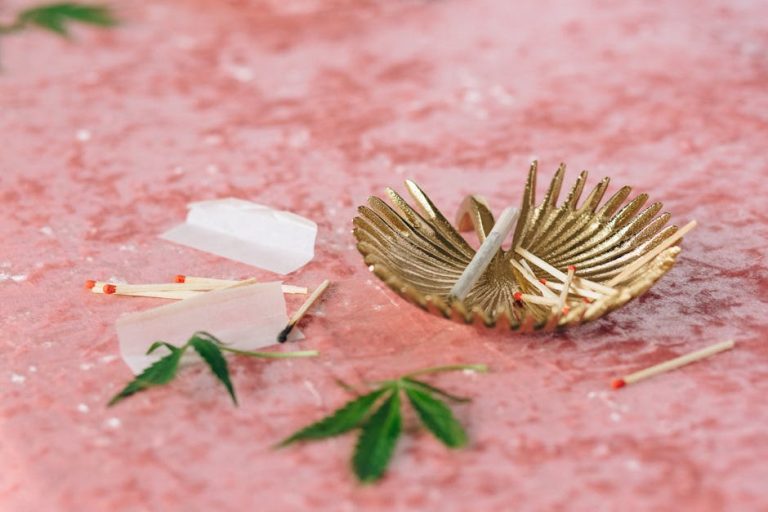 Семена конопли и законодательство вокруг них