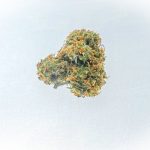 Авто Семя Конопли Питательная Ценность и Преимущества для Здоровья image_358.jpg