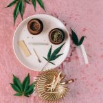 Выращивание семян канабиса: полное руководство для начинающих image_391.jpg