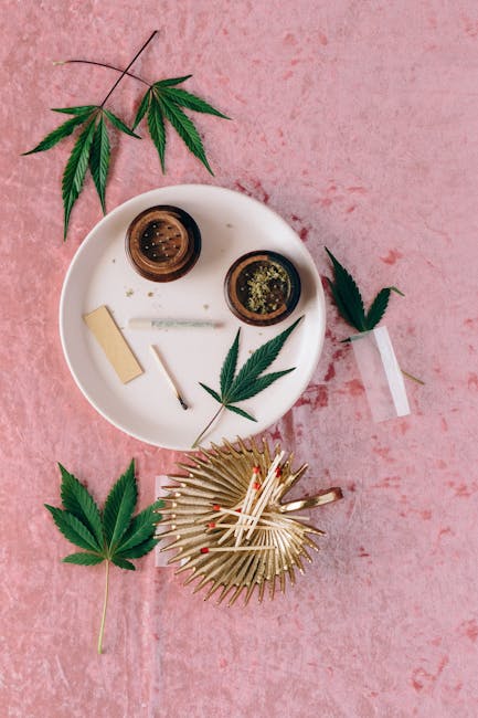 Выращивание семян канабиса: полное руководство для начинающих