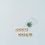 Семена конопли Bubbleberry Regular от производителя Ganja Seeds image_419.jpg