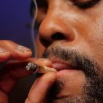 Семена Конопли как Здоровая Добавка к Рациону Питания image_460.jpg