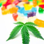 Посадка семян марихуаны и уход за растениями image_463.jpg