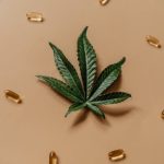 Семена конопли Tangilope feminised от DNA Genetics image_52.jpg