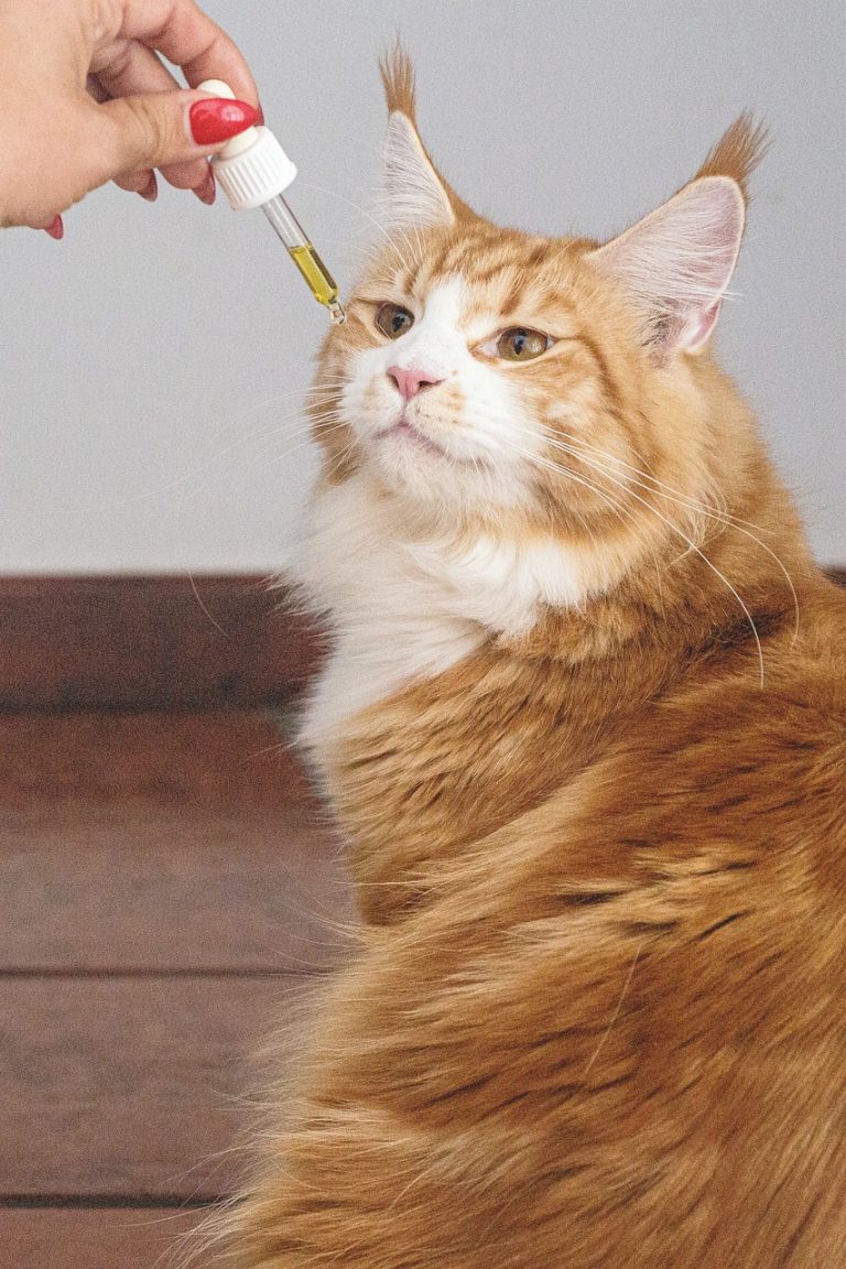 Семена конопли для рыбалки где заказать и как использовать