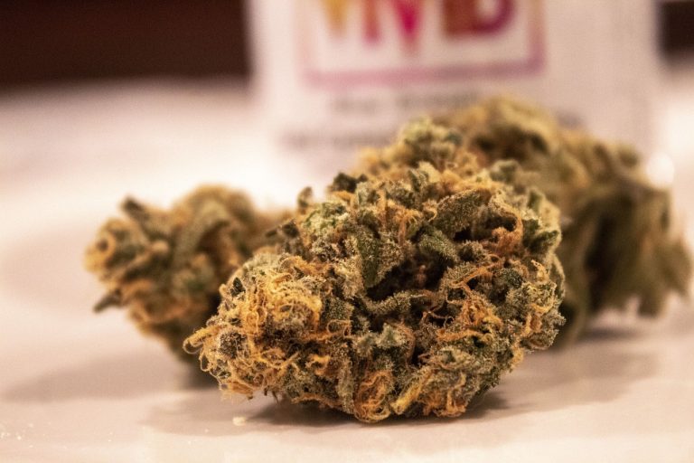 Семена конопли Auto Altay feminised от Bang Seeds