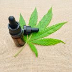 Бесплатное приобретение семян марихуаны: правовые аспекты и потенциальные последствия images303.jpg