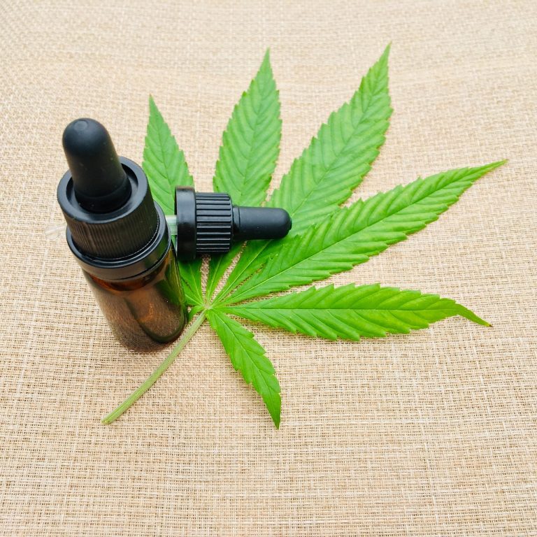 Бесплатное приобретение семян марихуаны: правовые аспекты и потенциальные последствия