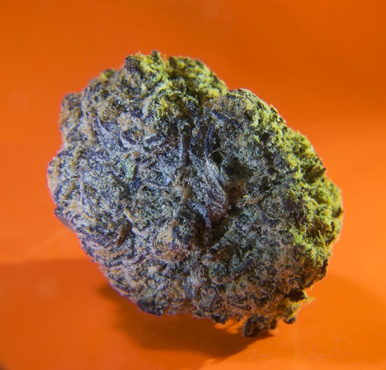 Семена конопли как средство для похудения