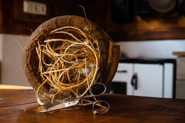 Полезные свойства и применение семени конопли