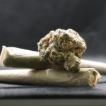 Как сварить семена конопли и использовать их в кулинарии images66.jpg