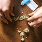 Выращивание конопли в Тамбове: особенности приобретения семян и агротехники image_104.jpg