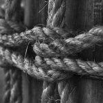 Автоцветущие семена конопли от Семяныч преимущества и советы по выращиванию image_119.jpg