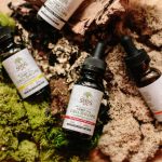 Семена конопли Auto Wappa feminised от Ganja Seeds image_12.jpg