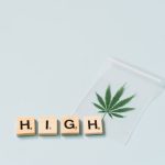 Сорт конопли Auto Tutankhamon feminised от Ganja Seeds image_129.jpg