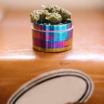 Семена конопли Skunk x Great White Shark feminised от Ganja Seeds image_136.jpg