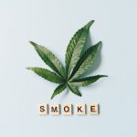 Семена конопли сорта Super Cheese feminised от производителя Trikoma Seeds image_143.jpg