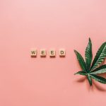 Семена конопли Do-Sweet-Dos feminised от Sweet Seeds image_191.jpg