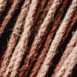 Распространение и использование семян конопли в разных культурах image_214.jpg