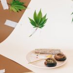 Семена конопли Auto Black Cream feminised от Sweet Seeds image_277.jpg