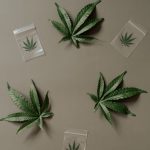 Покупка крымских семян конопли: особенности и преимущества image_305.jpg