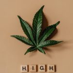 Семена конопли Sativa Indica Mix A feminised от Green House Seeds image_308.jpg