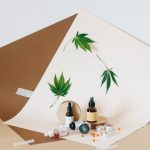 Прорастание семян конопли важнейший этап в выращивании конопли image_343.jpg