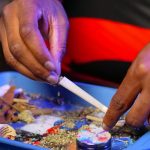 Семена конопли Jack la Mota feminised от компании Medical Seeds image_356.jpg