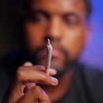 Как купить семена конопли дешево и качественно в интернет-магазине image_410.jpg