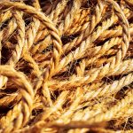 Урбеч паста из семян конопли свойства и преимущества image_445.jpg