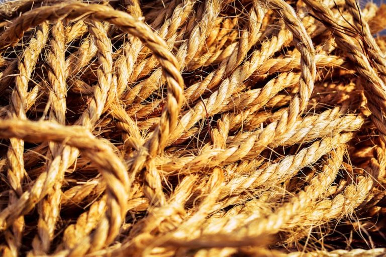 Урбеч паста из семян конопли свойства и преимущества