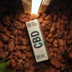 Преимущества и особенности выращивания конопли из голландских семян image_535.jpg