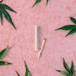 Гидропоника для выращивания конопли image_58.jpg