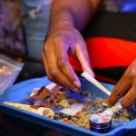 Белок семян конопли как полноценный источник питательных веществ image_66.jpg