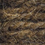 Семена конопли Black Widow feminised от Ganja Seeds images271.jpg