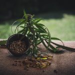 Семена конопли полезные свойства и применение images38.jpg