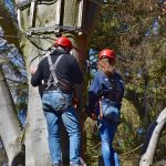 Семена Конопли в Москве Купить с Доставкой на Дом images427.jpg