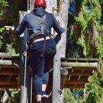 Автоцветущие семена марихуаны особенности и преимущества images434.jpg