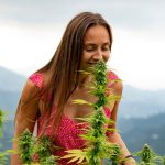 Семена конопли в Москве где купить и как использовать images56.jpg